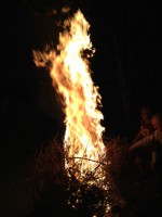 /album/niki-v-red-wing/taborak-jpeg1/